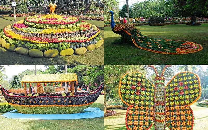 Nilgiris Summer Festival