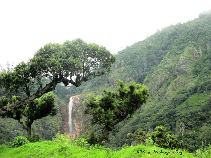 Kattery Park & Water‑fall (near Ooty)