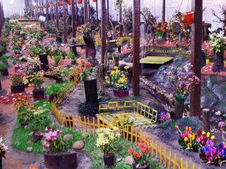 728877301Thread_Garden